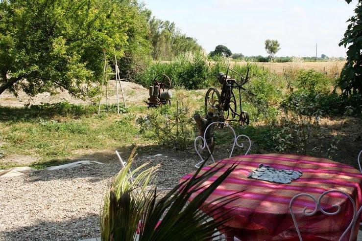 Aux Roses De L'Etang Hotel Capestang Kültér fotó