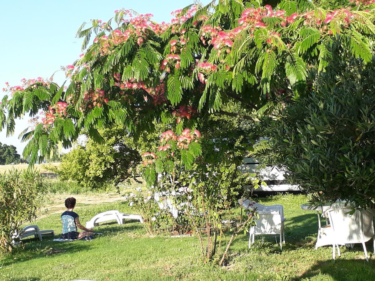 Aux Roses De L'Etang Hotel Capestang Kültér fotó