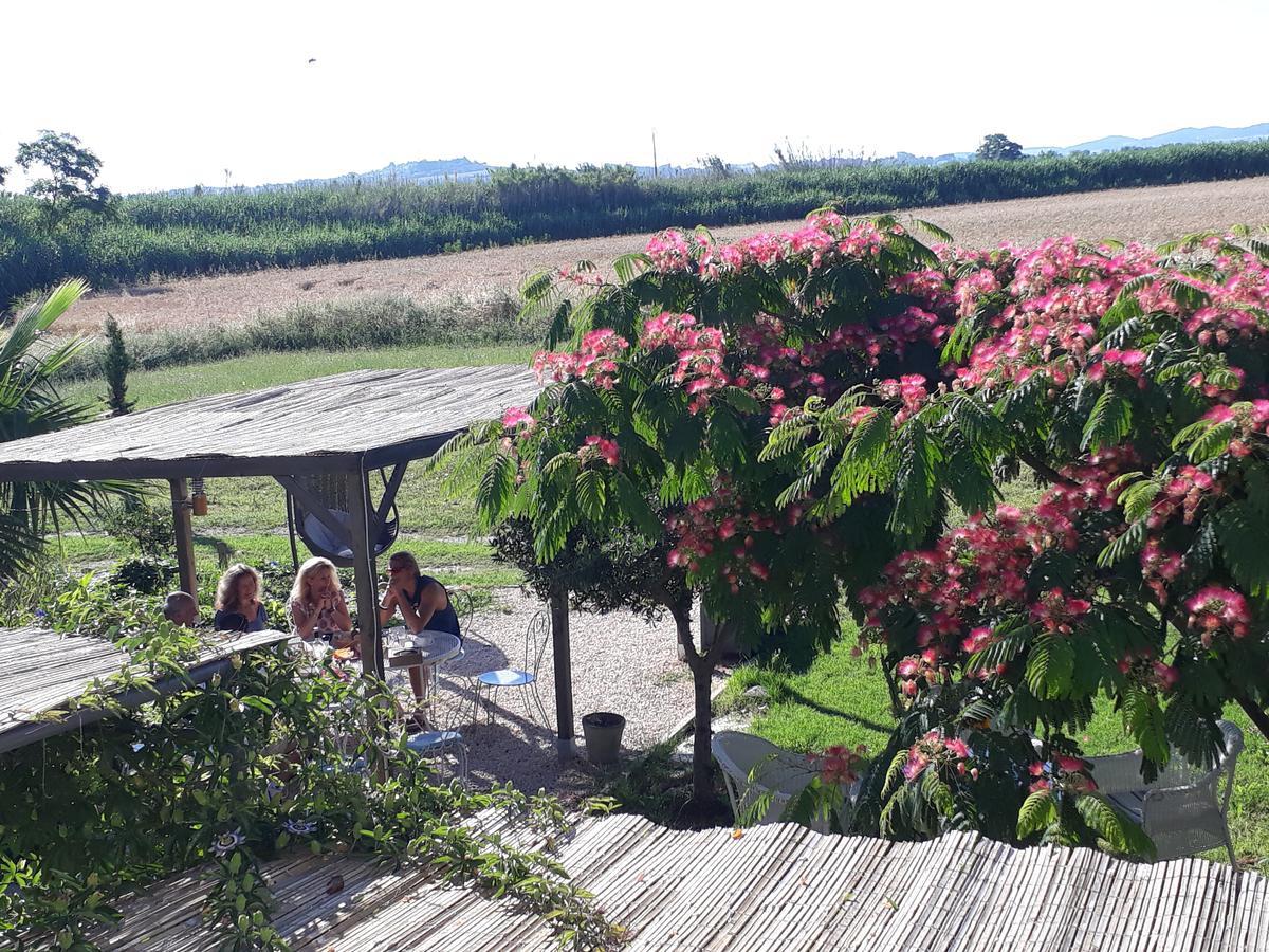Aux Roses De L'Etang Hotel Capestang Kültér fotó